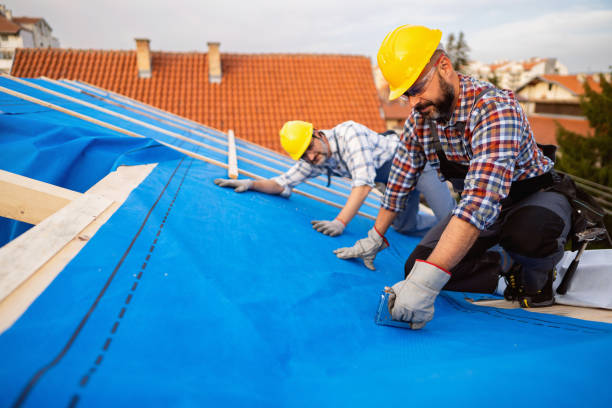 Best Roof Gutter Cleaning  in Gate City, VA